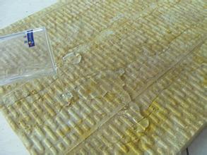 防火糟老头视频APP污安卓版